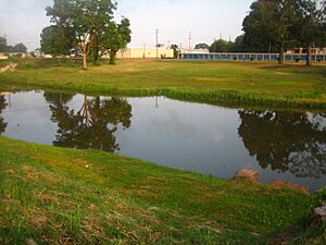 Bayou Rapides in Alexandria, LA IMG 1082
