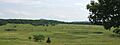 Bigmeadow