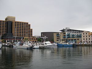 Boats at Victoria Dock, Hobart in November 2010