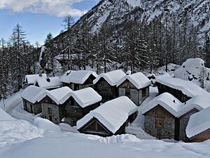 Bosco gurin 20100117 0147 1