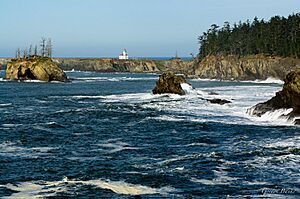 Cape Arago Lt