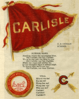 Carlisle Tobacco Cloth.1