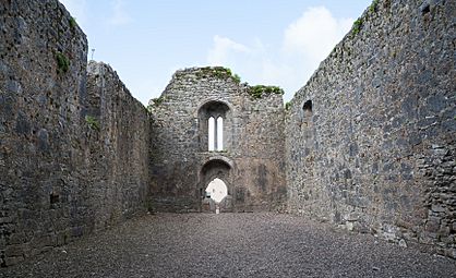 Castlelyons Friary Nave 2015 08 27
