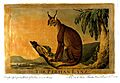 Charles Catton, Animals (1788) Page16 Image1