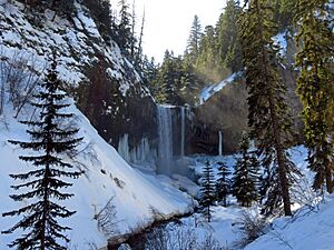 Cold Spring Creek at Mount Hood National Forest in Oregon 2