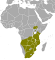 Common eland