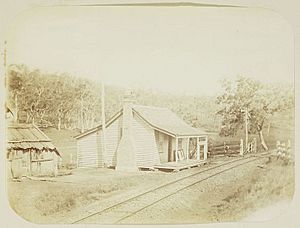 Cranley (formerly Bremmers Gate) on the railway line from Toowoomba to Warwick, 1897