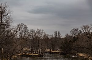 Crow River, Delano, Minnesota (26226932112)