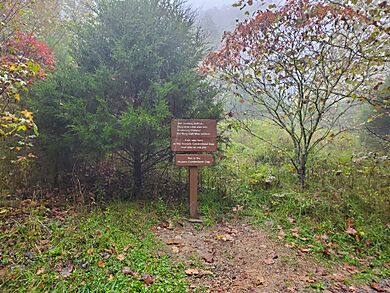 Cumberland Gap Height of Land