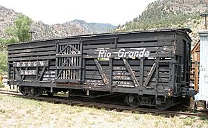 D&RGW Single Deck Stock Car 5620