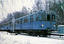 D subway train in Moscow