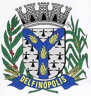 Delfinopolis brasao