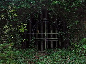 Eglinton tunnel ladyha portal gates