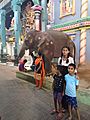 Elephant Lakshmi
