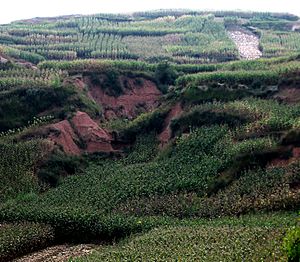 Erosion gulleys on unterraced farmland in Yunnan