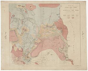 Fingal Gold Reef Tasmania c 1863 SLNSW FL3495277