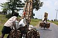 Firewood selling, Batticaloa