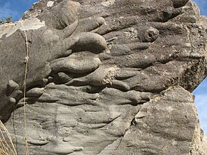 Flute cast - Triassic - Riba de Santiuste - Spain