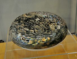 Glass dish. Green-tinted moulded glass. From Fustat, Egypt. Fatimid period, 11th century CE. The Burrell Collection, Glasgow, UK