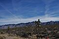 Grand Wash Cliffs, from Pierce Ferry Rd (Bahde Gold Claims) January 2007 - panoramio