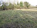 Great Oakley Meadow 2