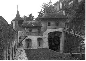 Gruyere2