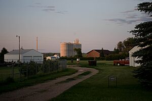 Hensler at dusk, 2009