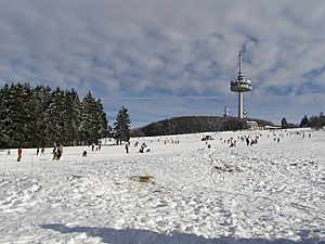 Hoherodskopf Vogelsberg