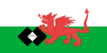 House flag of Cory Brothers