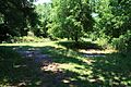 Indian Mound Park 06May2010 06