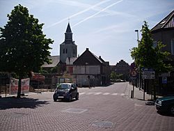 Jaren 2010 - Buggenhout - Belgium.jpg