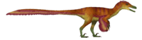 Kuru UDL.png