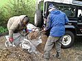 LWT staff shovelling woodchip into sacks