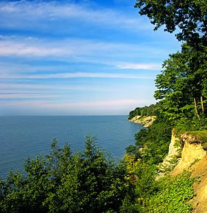 Lake Erie bluffs as seen from the David M. Roderick Wildlife Reserve