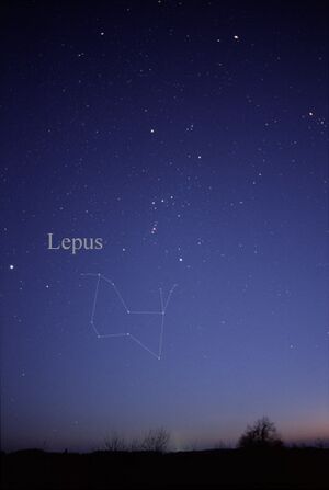 LepusCC