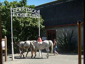 Looking into Ferrymead Heritage Center Sign