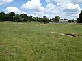 Lord's Well Field, Eriswell 3