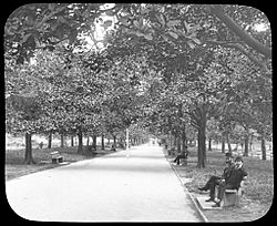 Lover's Walk, Hyde Park, Sydney (transparency) - a variety of Sydney and country scenes - (8446992740)