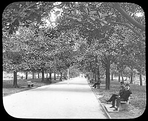 Lover's Walk, Hyde Park, Sydney (transparency) - a variety of Sydney and country scenes - (8446992740)