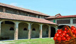 Museo del Pomodoro - Collecchio (PR) - Esterno