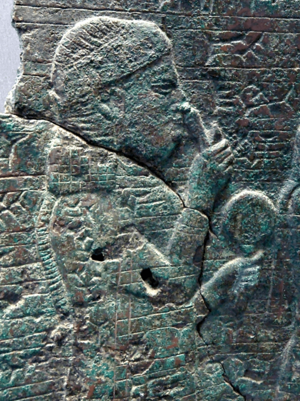 Naqi'a crop