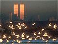 National Park Service WTC and Jamaica Bay
