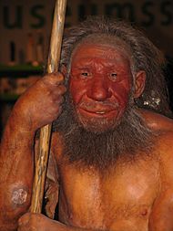 Neandertaler reconst