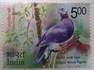 Niligiri Wood Pigeon on a postage stamp