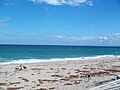 North PB FL MacArthur Beach SP beach east01