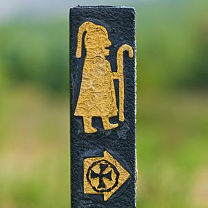 Pilgrim Path Waymarker (Ireland)