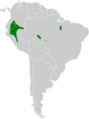 Poecilotriccus capitalis map