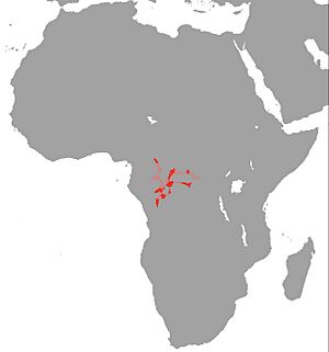 Polypterus delhezi Map.jpg