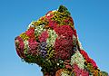 Puppy de Jeff Koons -- 2021 -- Bilbao, España