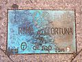 Rana de la fortuna (placa)
